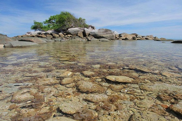 Aktivitas Kapal Isap Produksi Rusak Terumbu Karang di Bangka Belitung