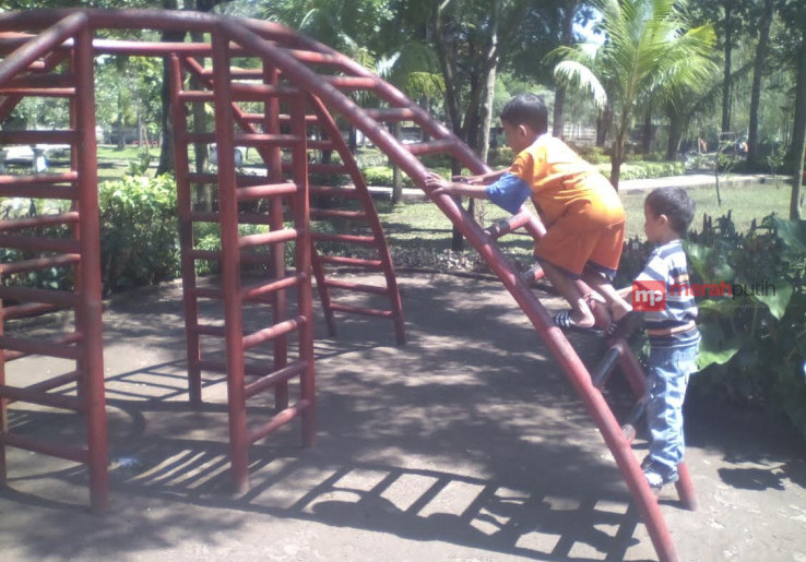Jenuh Suasana Jakarta? Yuk Main Ke Taman Dadap Merah