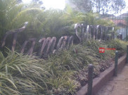 Ini Alasan Taman Spathodea Dulunya Disebut Taman Miring