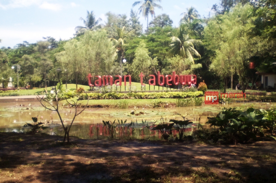 Bermain Sambil Beri Pakan Ikan di Taman Tabebuya
