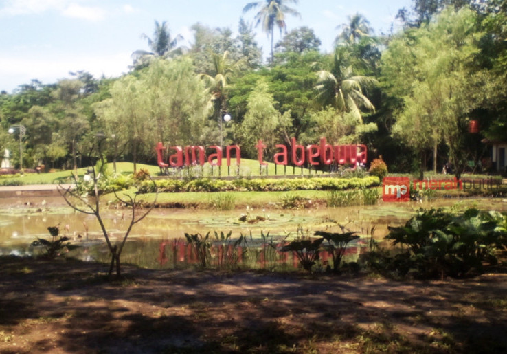 Bermain Sambil Beri Pakan Ikan di Taman Tabebuya