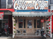 Cafe Cat and Coffee di Jogja