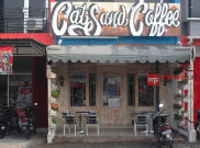Cafe Cat and Coffee, Tempat Ngopinya Pecinta Kucing