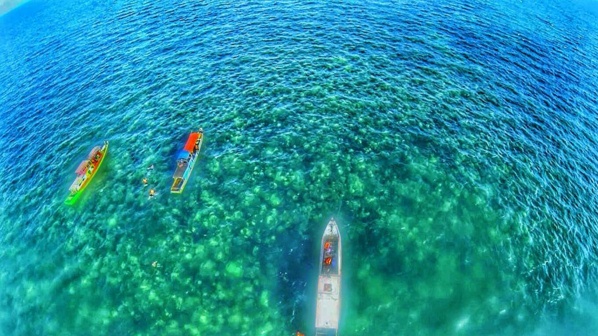 Pantai Angsana, Surganya Pecinta Snorkeling di Kalsel