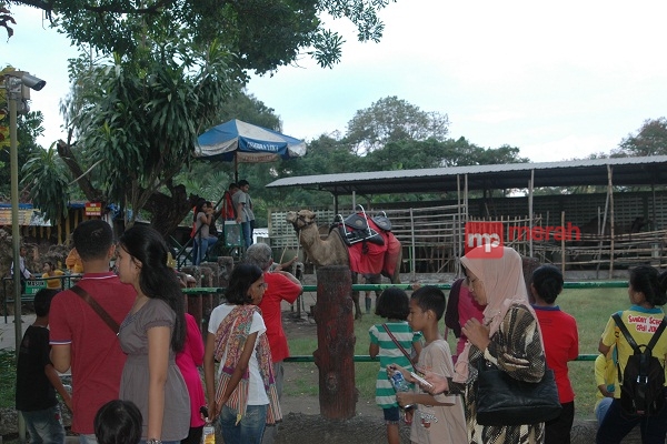 Libur Panjang di Kebun Binatang Gembira Loka