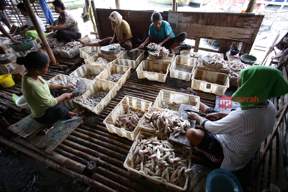 Usai Lebaran Kurban, Harga Ikan Berangsur Turun