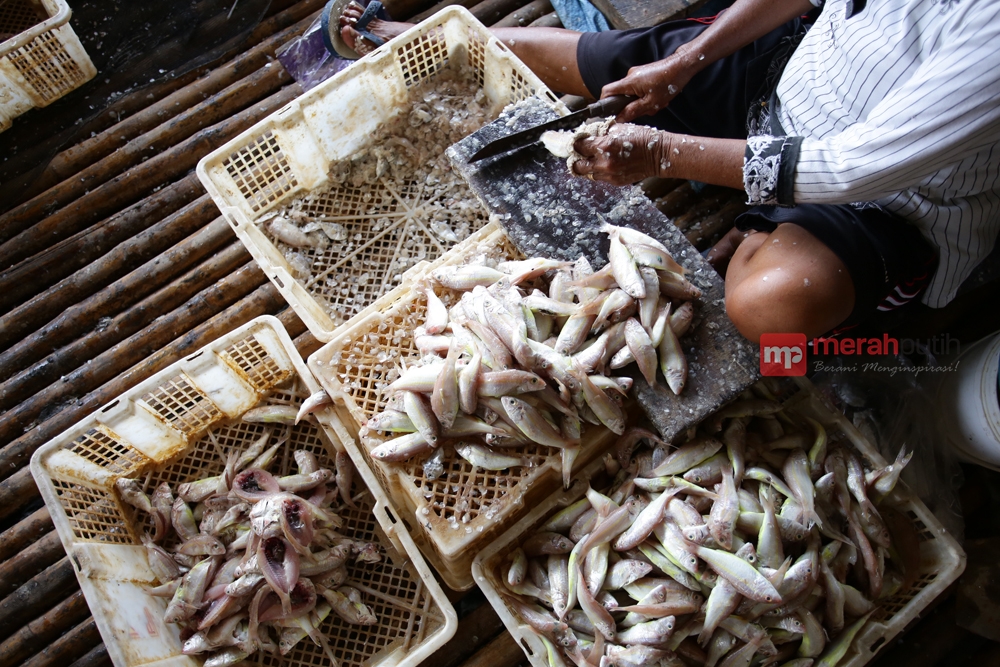Lomba Kuliner Berbahan Ikan Digelar Hari Ini di Makassar