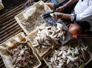 Lomba Kuliner Berbahan Ikan Digelar Hari Ini di Makassar