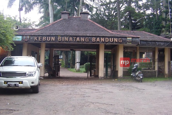Kebun Binatang Bandung: Tidak Mungkin Semua Satwa Dibiarkan Mati Pelan-pelan