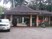 Kebun Binatang Bandung: Tidak Mungkin Semua Satwa Dibiarkan Mati Pelan-pelan