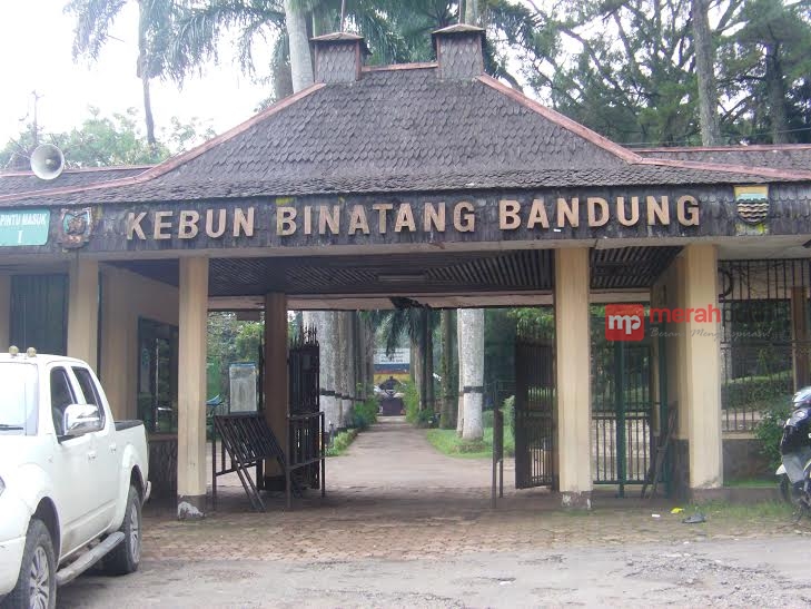 Diboikot Ridwan Kamil Pihak Kebun Binatang Angkat Bicara