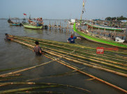 Pasokan Bambu Pulau Lancang
