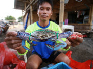 Nelayan Rajungan Tanjung Kait