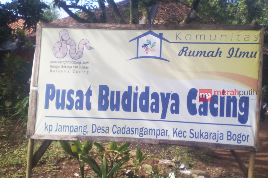 Budidaya Cacing, Bisnis Menjijikan Namun Menjanjikan