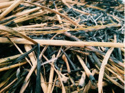 Tradisi Keramas Pakai Sekam Masyarakat Betawi Hampir Punah