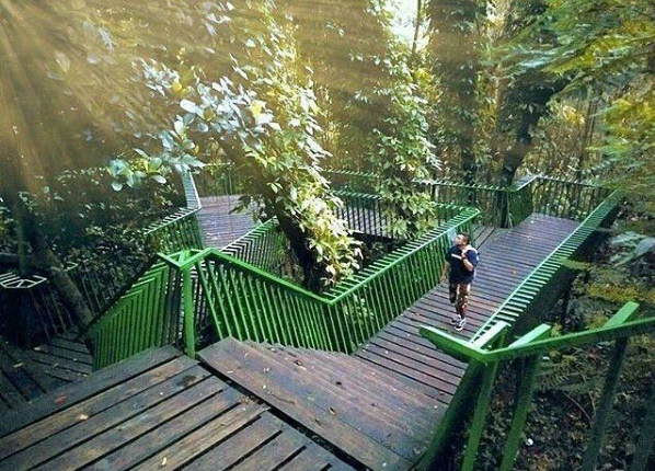 Babakan Siliwangi Tempat Wisata Paling Sejuk di Bandung