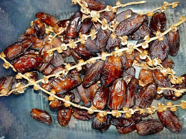 Cara Mudah Bikin Kopi dari Biji Kurma