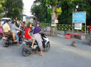 Ngabuburit Asyik Bareng Kera di Makam Sunan Kalijaga