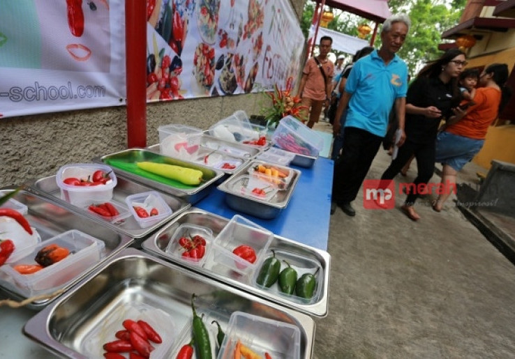 Festival Cabai Meriahkan Peh Cun 2016