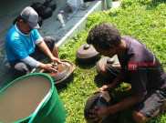 Ramadan, 11 Set Gamelan Milik Pura Mangkunegaran Dijamas