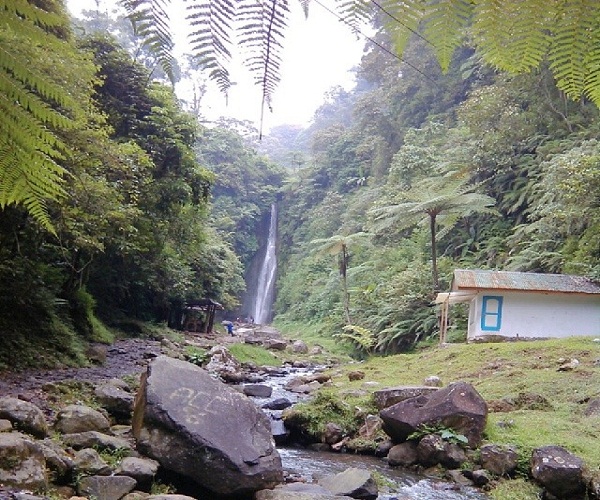 Sejukkan Diri di Air Terjun Ciismun Kebun Raya Cibodas