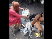 Beri Makan Anjing, Wanita Ini Malah Dibully