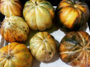 5 Buah yang Sehat Dikonsumsi Saat Sahur dan Berbuka