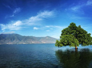 Mengintip Keindahan nan Romantis Pantai Talise Palu