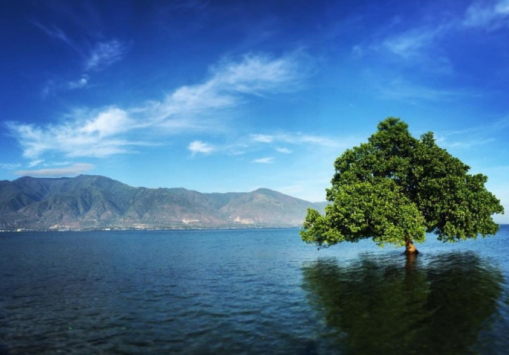 Mengintip Keindahan nan Romantis Pantai Talise Palu