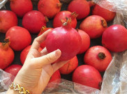 Manfaat Buah Delima yang Baik untuk Kesehatan