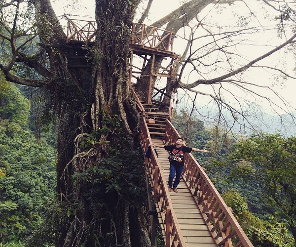Rumah Pohon Curug Ciherang Lokasi Selfie Hits di Bogor