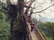 Rumah Pohon Curug Ciherang Lokasi Selfie Hits di Bogor