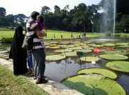 Kebun Raya Bogor Dipadati 4.337 Pengunjung Selama Libur Lebaran