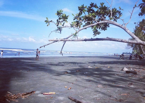 BMKG: Gempa Tektonik Guncang Pantai Utara Papua