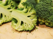 Manfaat Sayur Brokoli Bagi Kesehatan Tubuh