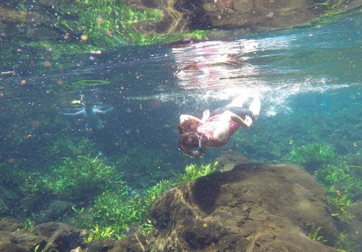 Telaga Nilam Kolam Alami bak Taman Bawah Laut