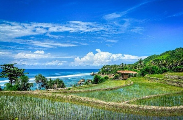 Eksotisnya Keindahan Pantai Nihiwatu Sumba
