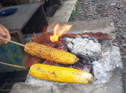 Cikebo Surga Jagung Bakar di Majalengka