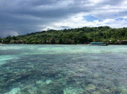 Keindahan Bawah Laut Pulau Karampuang Bikin Lupa Daratan