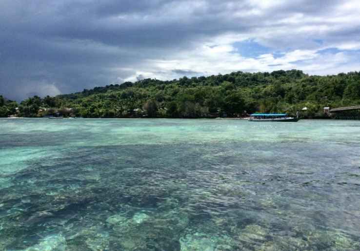 Keindahan Bawah Laut Pulau Karampuang Bikin Lupa Daratan