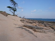  Lima Pantai Indah dan Elok di Pulau Sumba