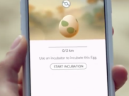 Cara Cepat Menetaskan Telur Pokemon