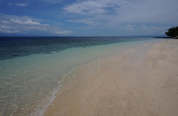 Wisata Taman Surga Bawah Laut Pulau Bobale Maluku