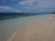 Wisata Taman Surga Bawah Laut Pulau Bobale Maluku