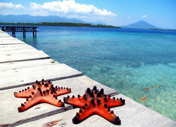 Pesona Terumbu Karang Pulau Tagalaya di Maluku Utara