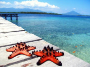 Pesona Terumbu Karang Pulau Tagalaya di Maluku Utara