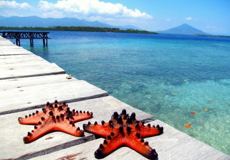 Pesona Terumbu Karang Pulau Tagalaya di Maluku Utara