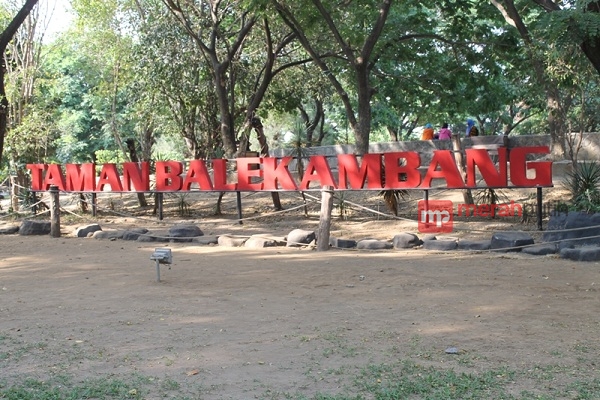 Burung Merpati Tambah Koleksi Satwa di Taman Balekambang