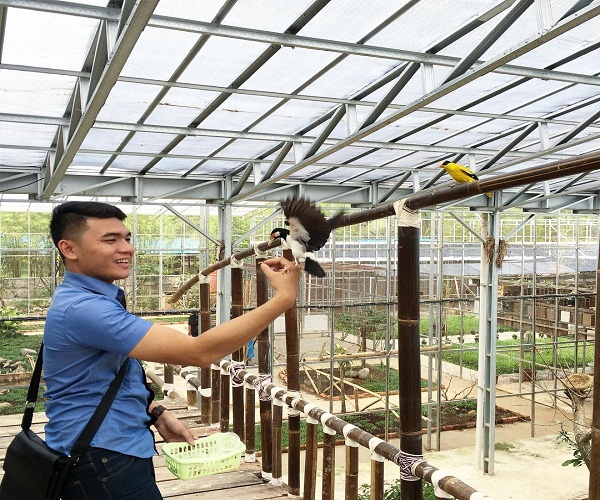Sumatera Selatan Punya Palembang Bird Park Seperti Singapura