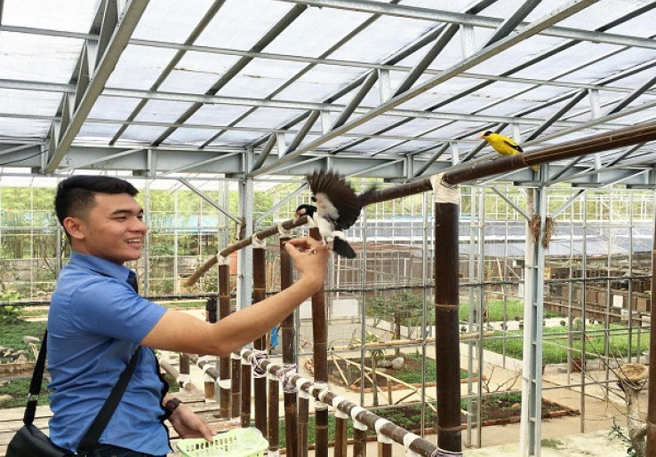 Sumatera Selatan Punya Palembang Bird Park Seperti Singapura